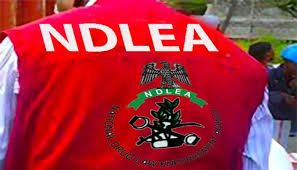 NDLEA Arrests Businessman Who Excretes 68 Wraps Of Cocaine