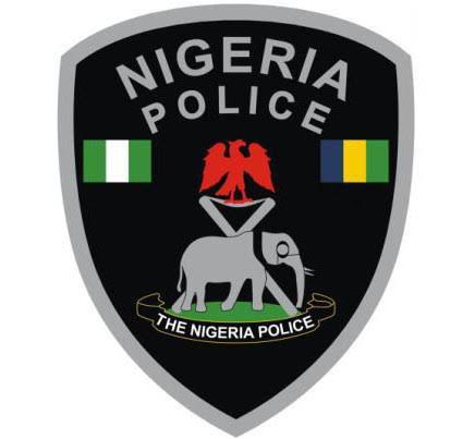 Lagos Police arrest man for killing brother over argument