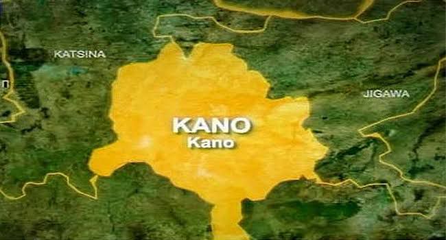 20 Kano council aspirants test positive for multiple drugs